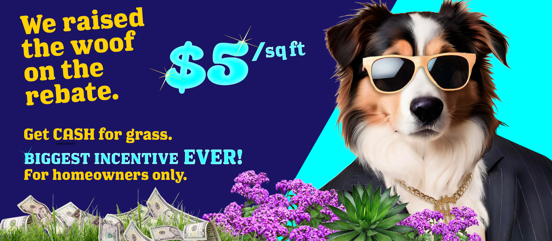 Dog wearing sun glasses and gold chain pitching a 5 dollar per square foot grass rebate.
