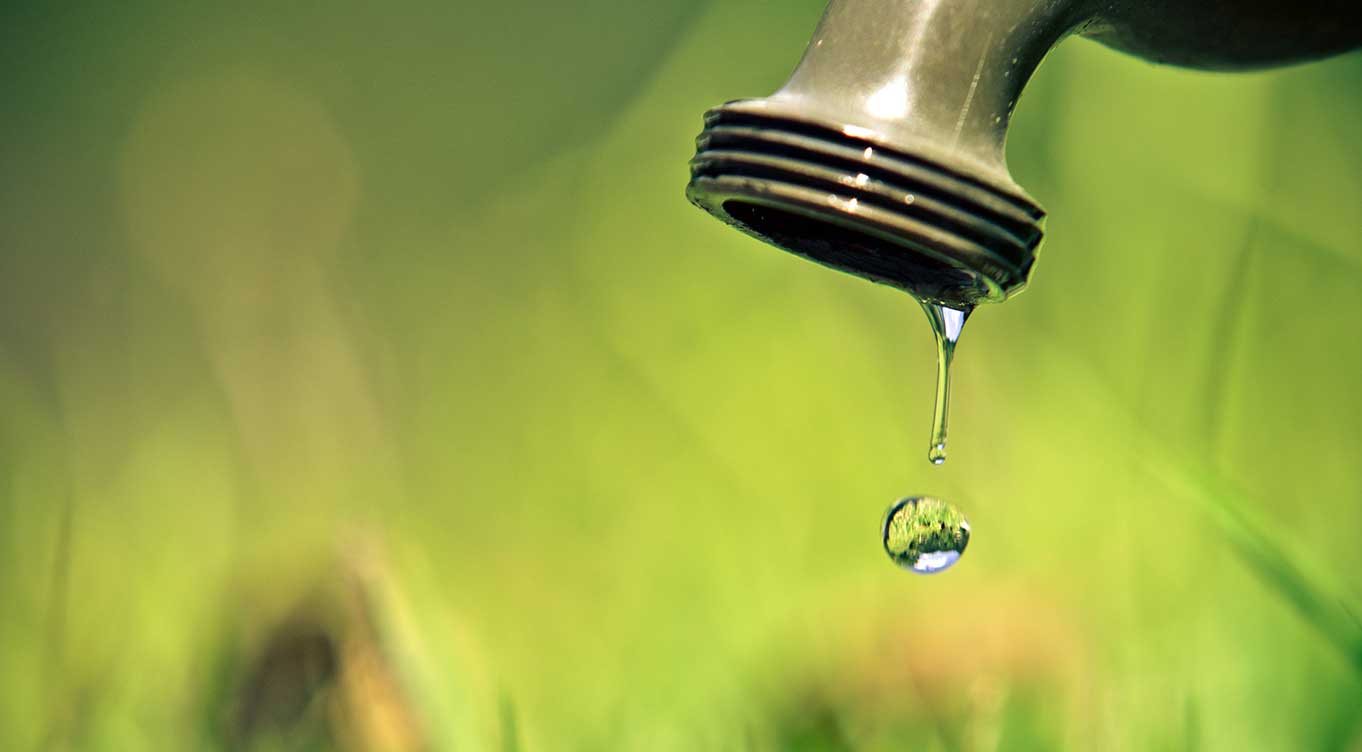 Close-up of outdoor faucet with water drip in foreground, blurred grass and plants in background. 