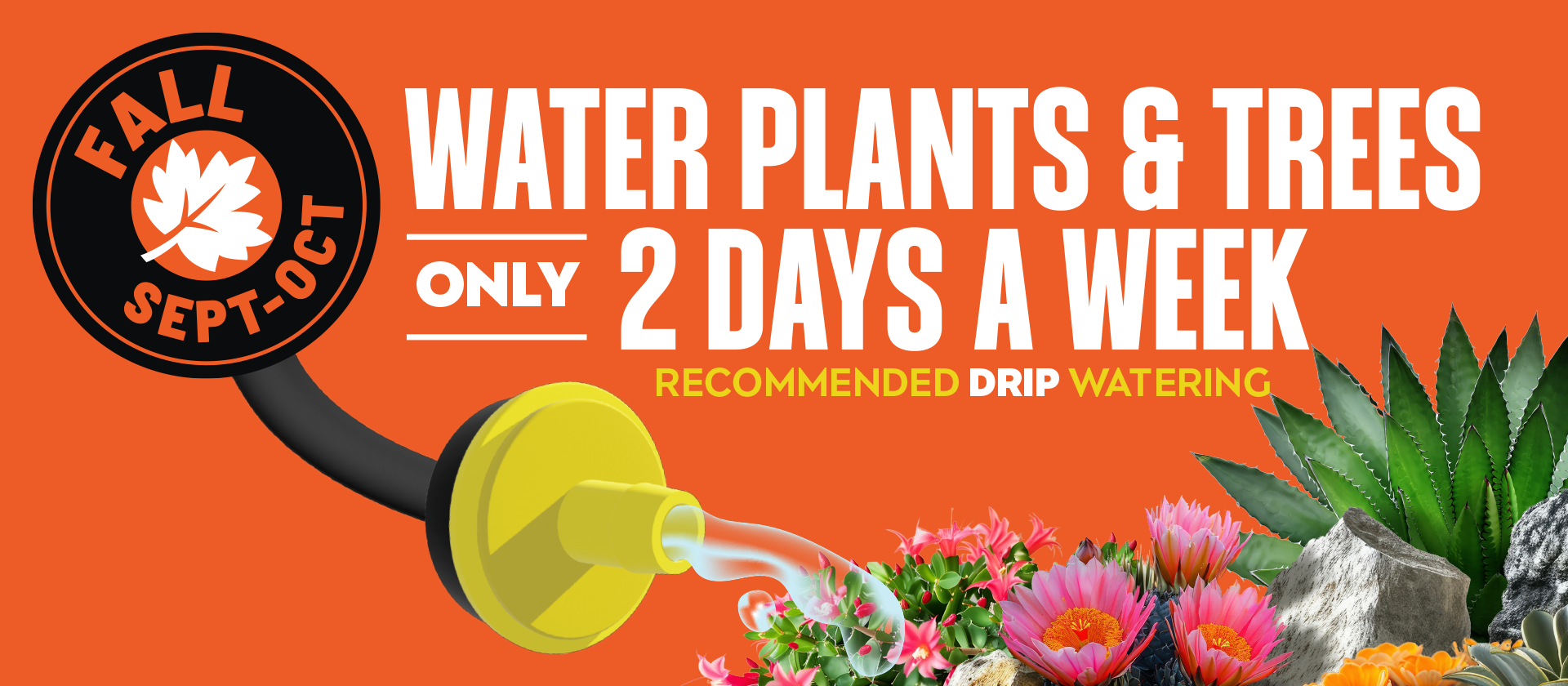 Drip irrigator and plant