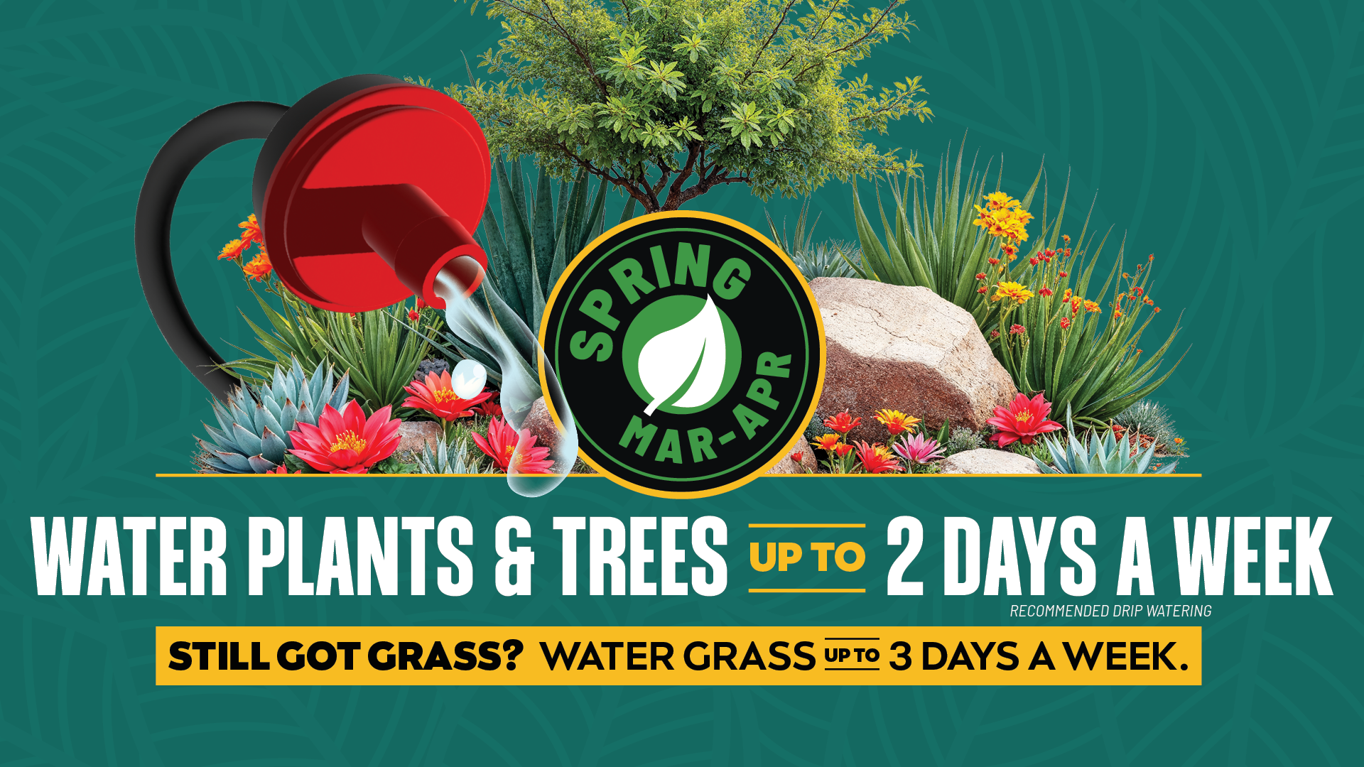 Spring watering restrictions