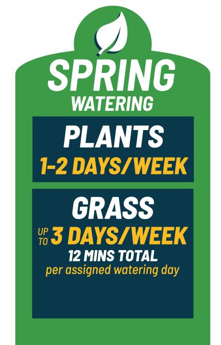 Spring watering restrictions are in effect.