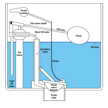 Toilet tank components: flush handle, fill valve shaft, lift arm, float, bowl fill tube, fill valve, overflow tube, chain, flush valve flapper, flush tube, tank fill tube