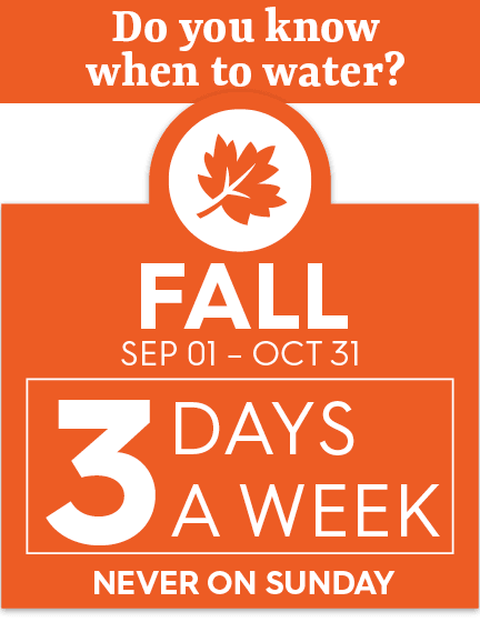 Fall watering restrictions limit watering to three days a week.