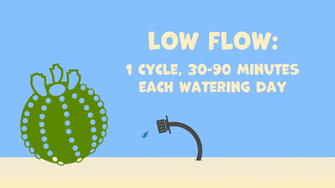 Illustrated animation demonstrating a low flow emitter.