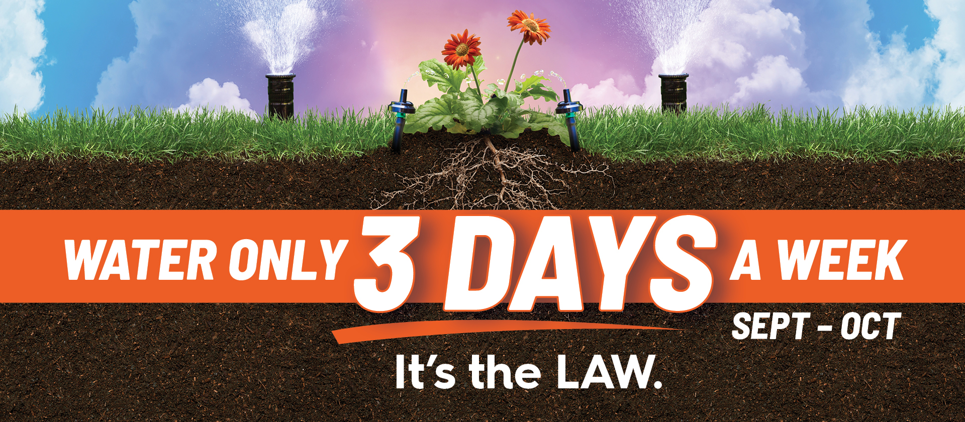 Plant and grass with text overlay that reads Water Three Days a Week.