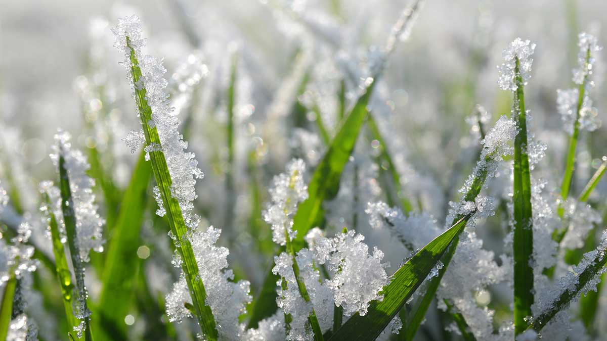 Las Vegas Valley Water District Official site