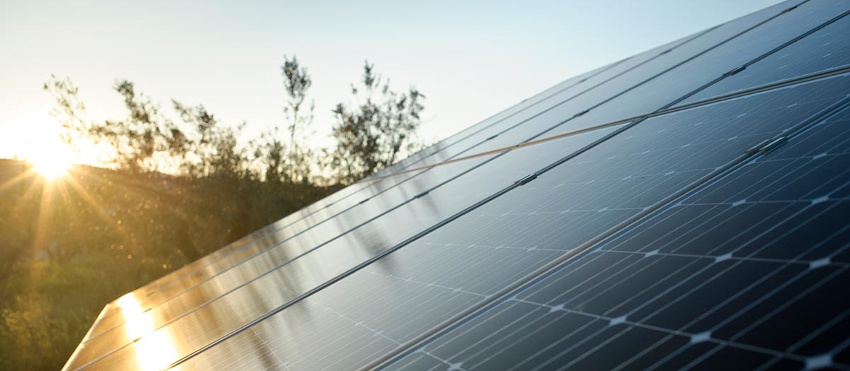 Solar panels in field