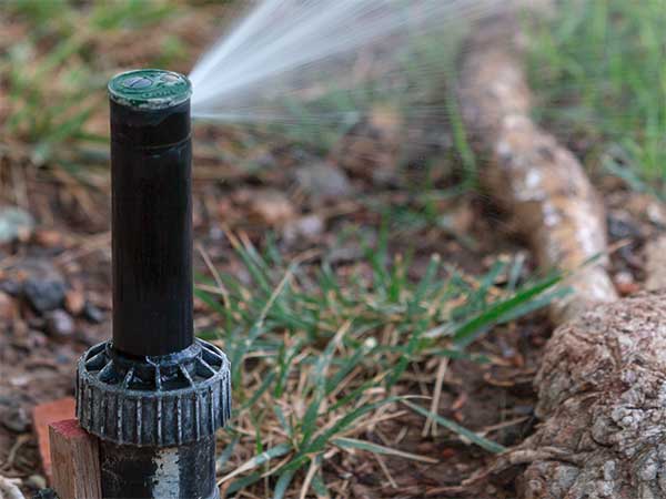 pop-up sprinkler head