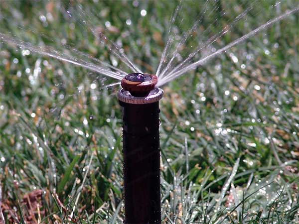 rotational sprinkler head