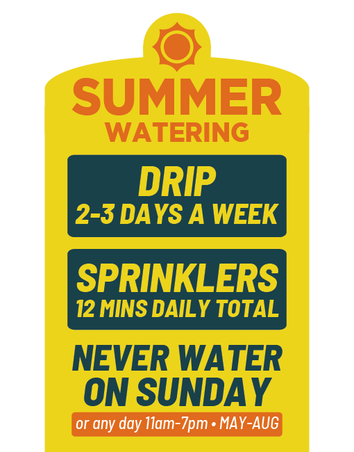 Summer watering restrictions are in effect.