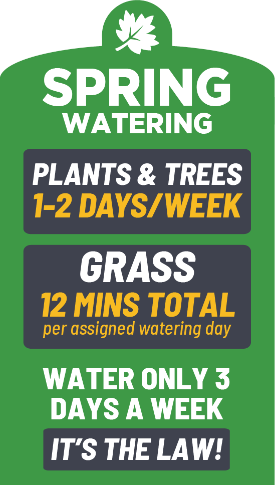 Winter watering restrictions are in effect.