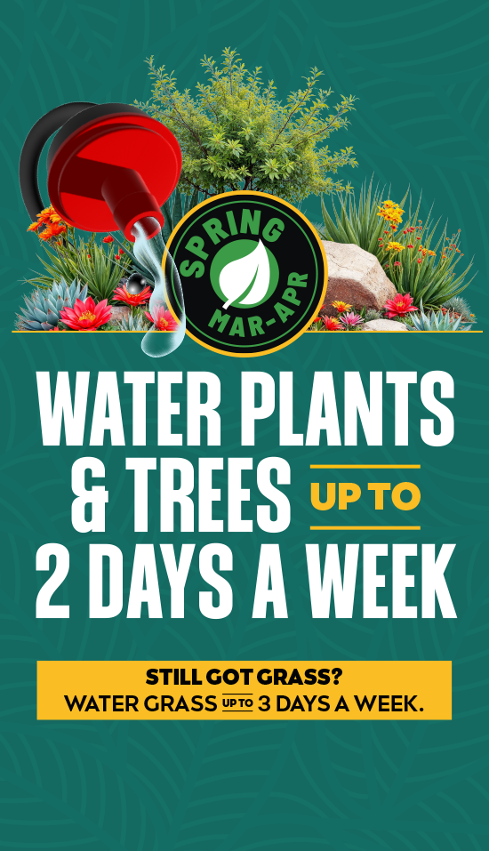 Mandatory watering schedule