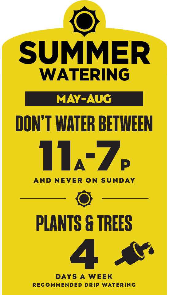 Water grass, plants, and trees up to 3 day a week in spring.