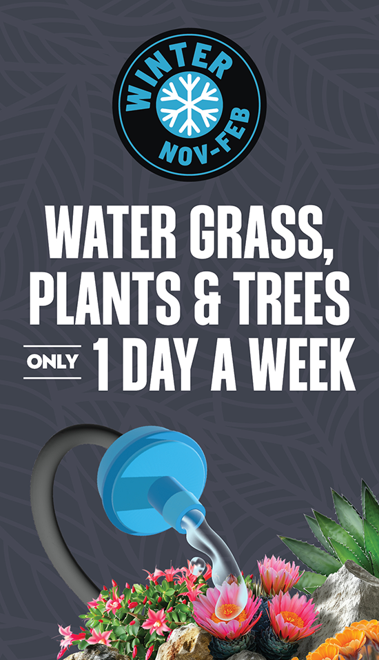 Water grass, plants, and trees up to 1 day a week in winter.