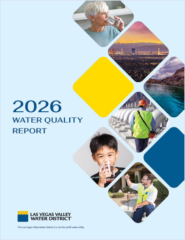 Cover of 2026 water quality report